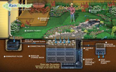 Capturing Rainwater in California