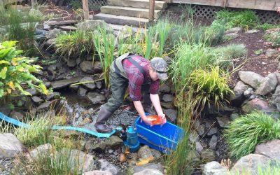 Spring Clean is Wise