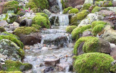 Pondless Waterfall