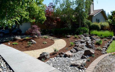 Landscape and Continued Conservation