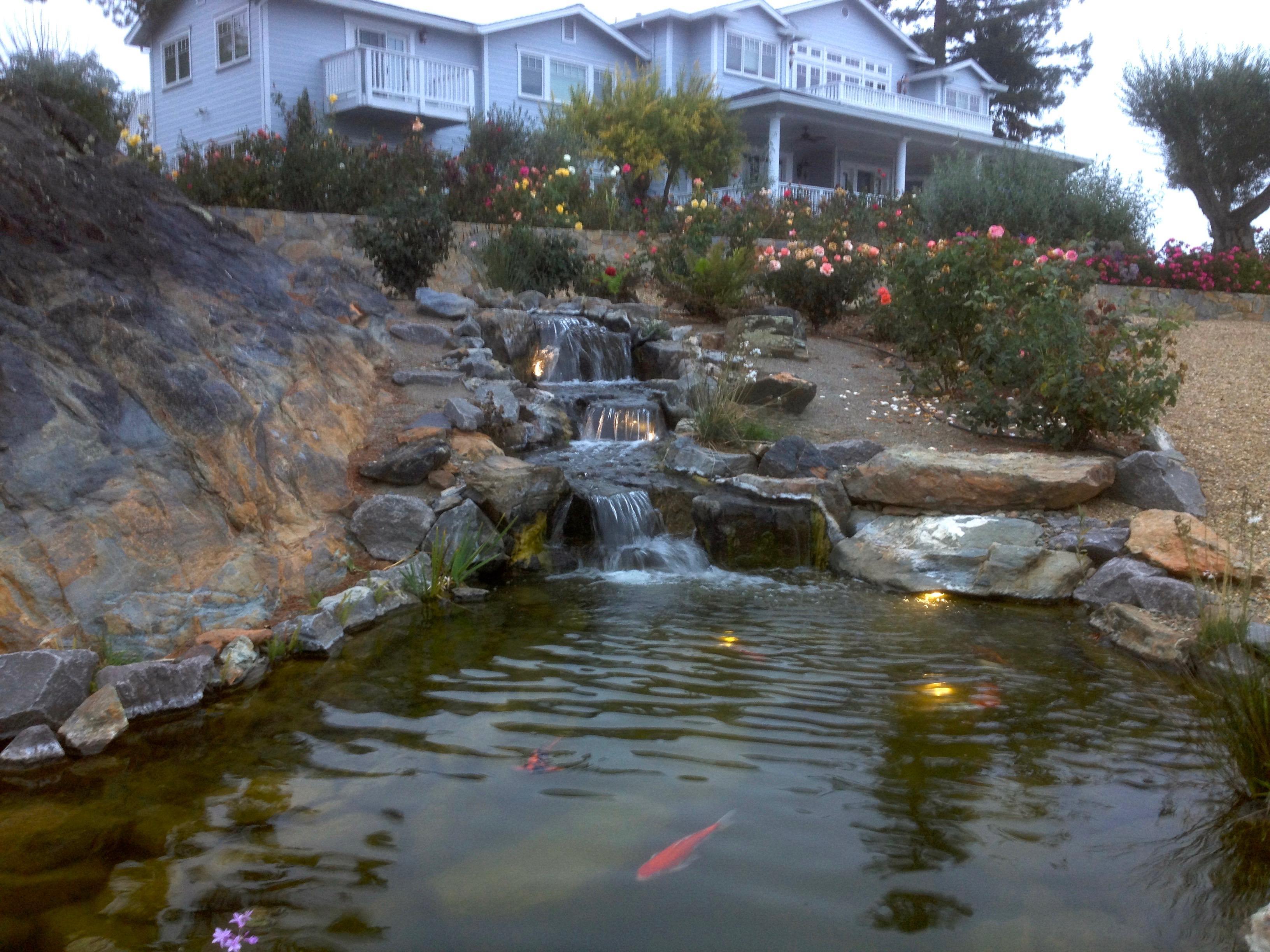 Pond Contractors Near Me Sweetwater Landscape Inc.