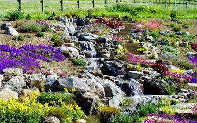 Landscaping Around Your Pond