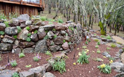 10 Steps to a Successful Landscape