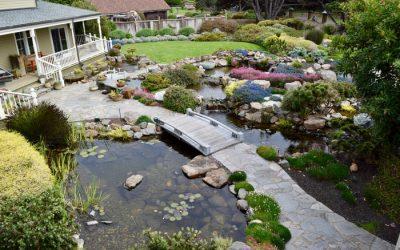 Best Pond/Waterfall Contractors in Sonoma County