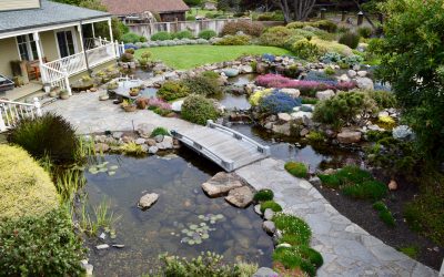 How to Choose a Water Feature Contractor