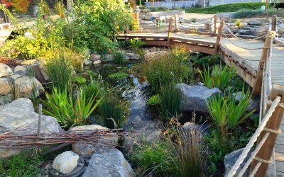 3 Compelling Reasons to Hire a Master Certified Aquascape Contractor