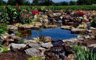 3 Compelling Environmental Reasons to Add a Small Pond to Your Property