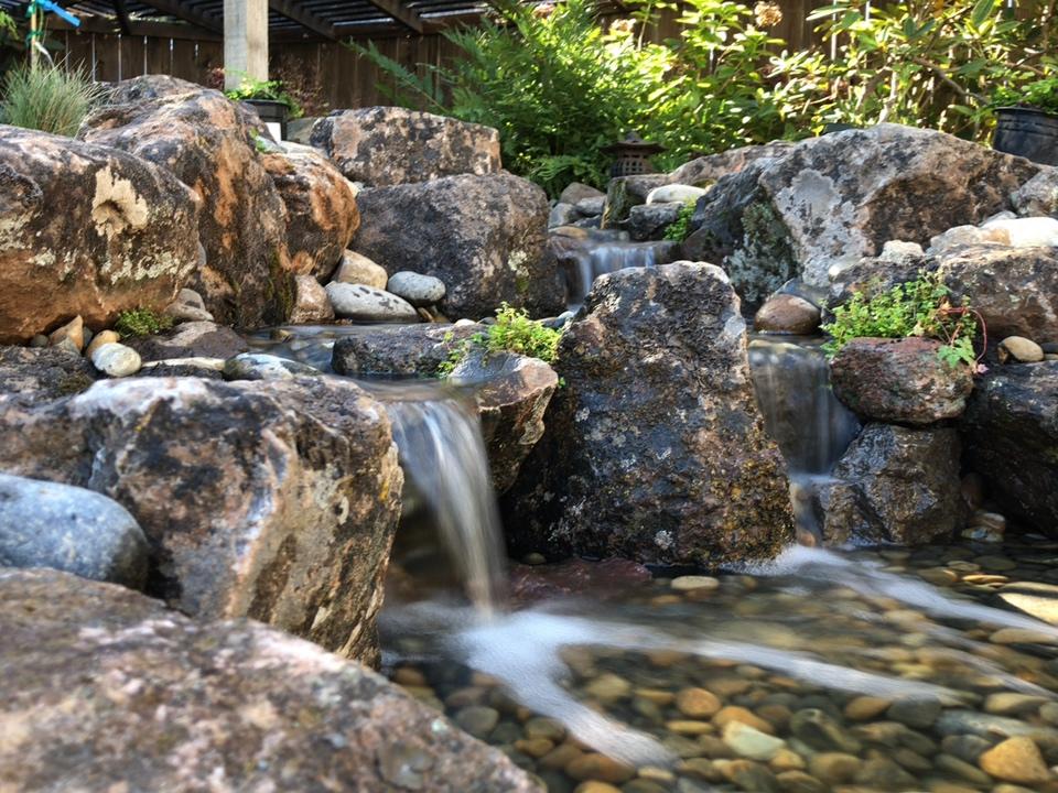 Reliable Pond Contractors Near Me Sweetwater Landscape