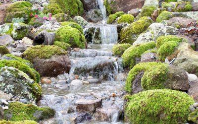 Tips for Choosing an Outdoor Water Fountain
