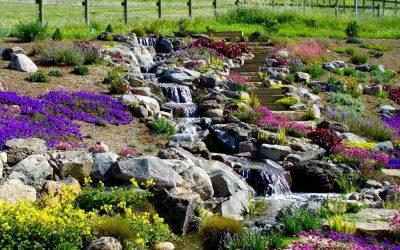 The Most Popular Water Garden Trends For 2019