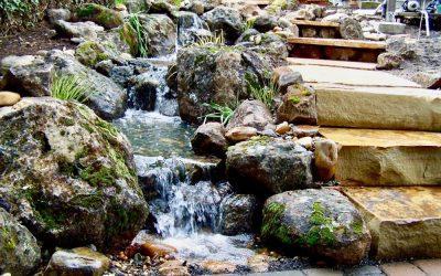 Do’s & Don’ts of Water Pond Maintenance