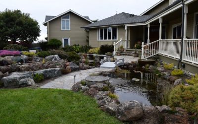 4 Things To Think About When Planning Your Landscape Design
