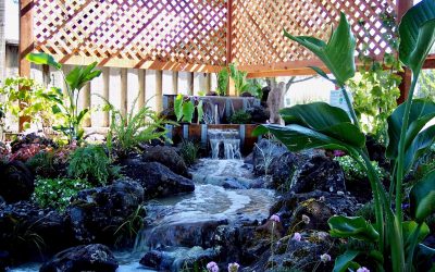 Five Stylish Options for Backyard Water Features
