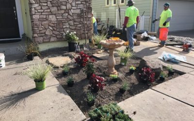 4 Stunning Garden Structure Ideas To Transform Your Landscape