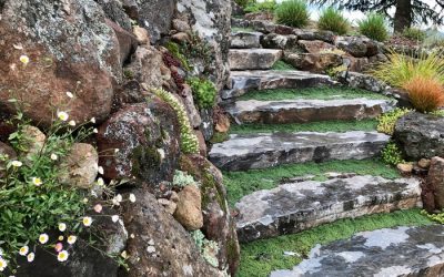 How to Add A More Natural Touch to Your Water Feature?