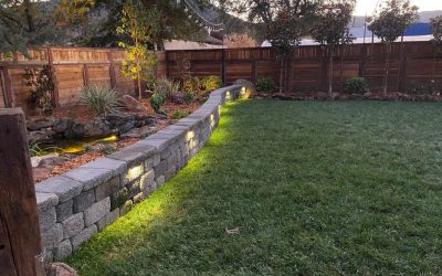 How to Select Landscape Lighting That’s Right for Your Yard?
