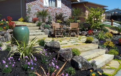 Low-Water Landscaping Ideas for a Beautiful, Sustainable Yard