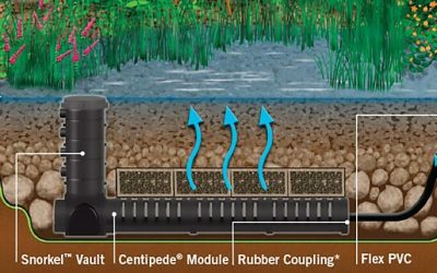 Constructed Wetland Filter (Bog Filter) – The Ultimate in Pond Filtration