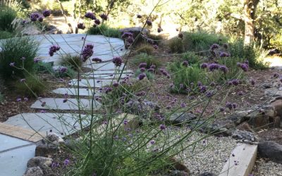 3 Ways to Create a Sustainable Landscape