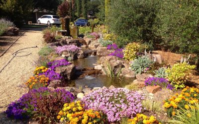 A Step-By-Step Guide to Building a Pond