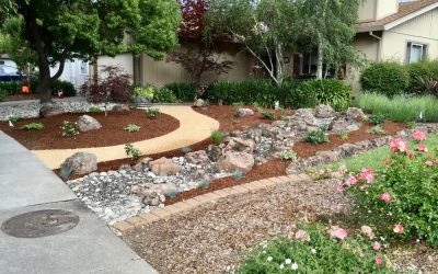 5 Questions to Ask Before Hiring a Landscaper for Your Business