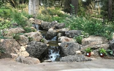 How Can I Keep My Small Pond From Freezing Over in Winter?