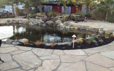 4 Things to Consider Before Building a Koi Pond in California