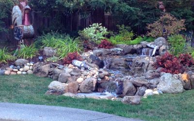 Should I Keep My Pond Running in the Winter?