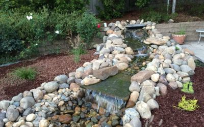5 Compelling Reasons to Add a Waterfall to Your Landscape