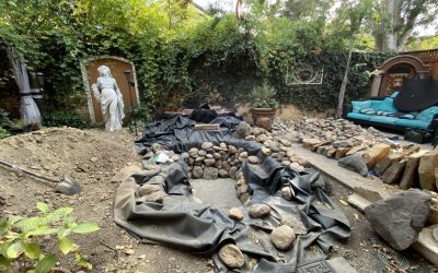 4 Important Questions to Ask Your Pond Contractor