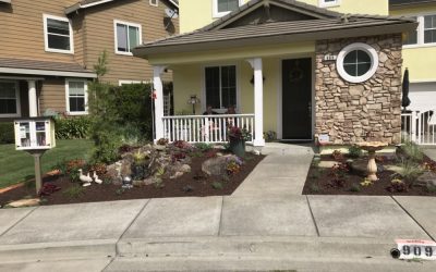 Can Weeds Damage Your Lawn and Garden?