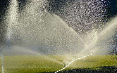 Maintain Your Landscape with an Irrigation System